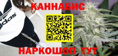 apvp Беслан