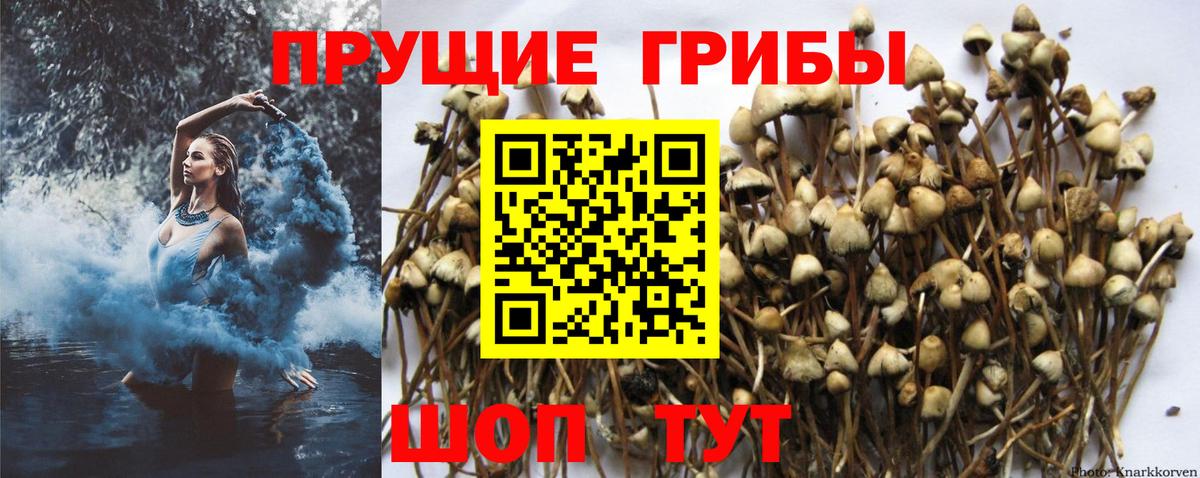 Галлюциногенные грибы ЛСД Астрахань