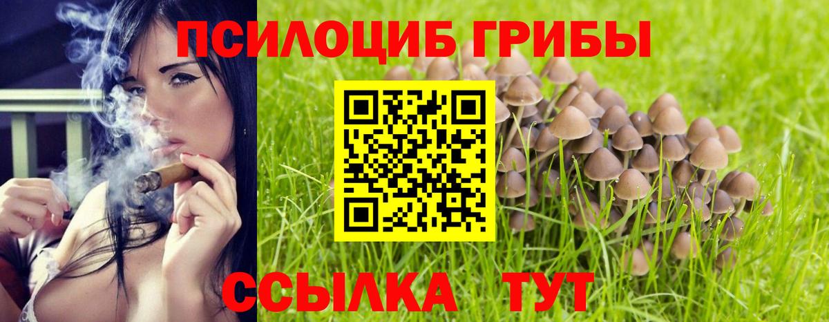 купить  цена  Вход с VPN  Астрахань  Галлюциногенные грибы MAGIC MUSHROOMS 